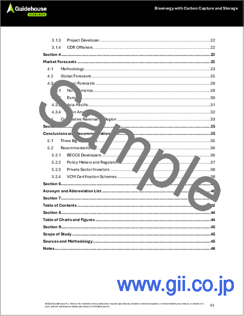 サンプル1：バイオエネルギーと二酸化炭素回収・貯留技術