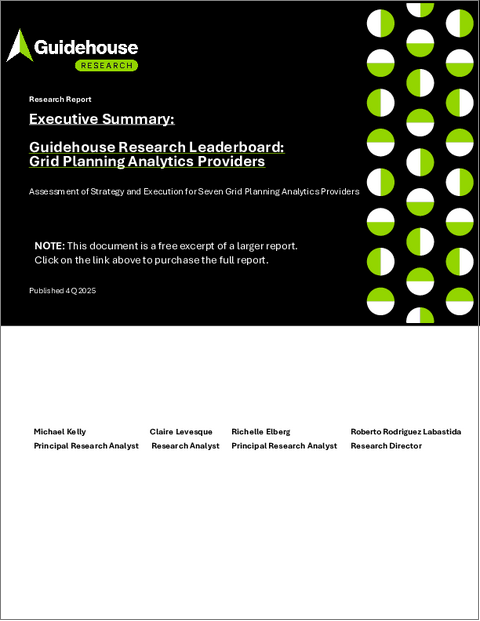 表紙：Guidehouse Researchリーダーボード：送電網アナリティクスプロバイダー