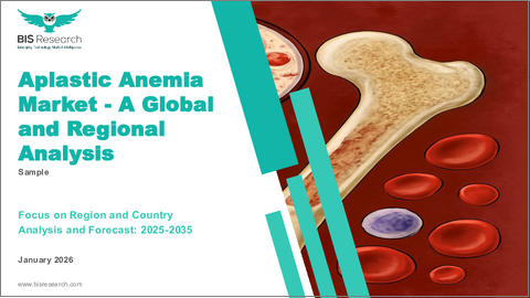表紙：再生不良性貧血市場- 世界のおよび地域別分析：地域および国別 - 分析と予測（2025年～2035年）