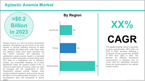 サンプル1：再生不良性貧血市場- 世界のおよび地域別分析：地域および国別 - 分析と予測（2025年～2035年）
