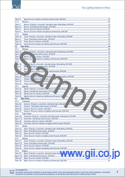 サンプル2：アフリカの照明市場