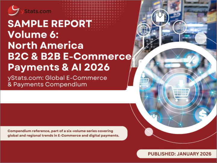 表紙：世界のEコマース＆決済の概要 (2026年)：第6巻 北米のB2C&B2B Eコマース・決済・AI