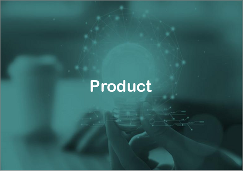 サンプル2：固体酸化物電解セル (SOEC) の世界市場 - 用途・製品・地域別の分析・予測 (2025～2035年)