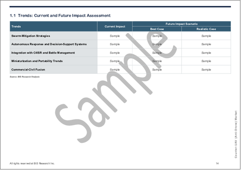 サンプル1：対UAV (アンチドローン) の世界市場 - エンドユーザー・技術タイプ・プラットフォーム・地域別の分析・予測 (2025～2035年)