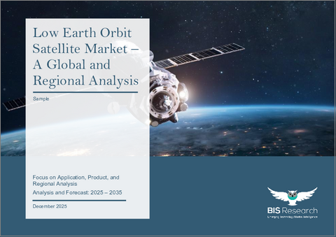 表紙：低軌道衛星の世界市場 - 用途・製品・地域別の分析・予測 (2025～2035年)