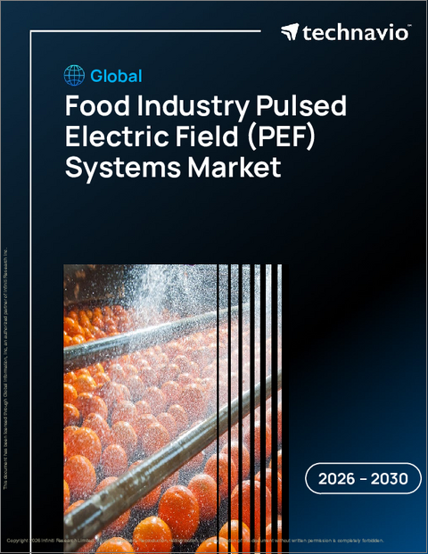 表紙：食品産業向けパルス電界（PEF）システムの世界市場 2026～2030年
