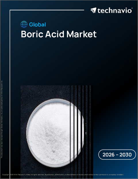 表紙：ホウ酸の世界市場、2026年～2030年