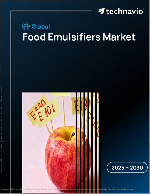 表紙：食品用乳化剤の世界市場、2026年～2030年