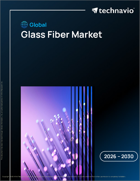 表紙：ガラス繊維の世界市場、2026年～2030年