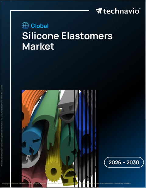 表紙:シリコーンエラストマーの世界市場、2026年~2030年