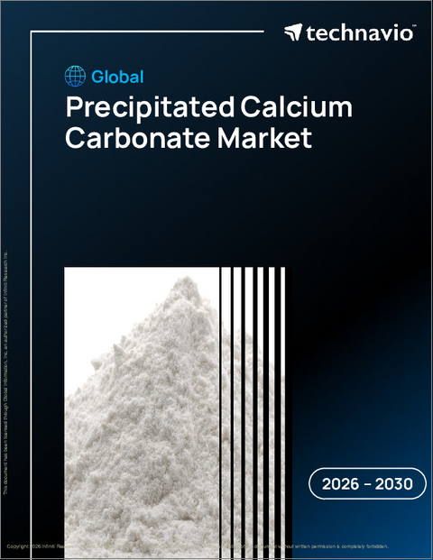 表紙:沈殿炭酸カルシウムの世界市場、2026年~2030年