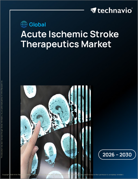 表紙：世界の急性虚血性脳卒中治療薬市場2026-2030年