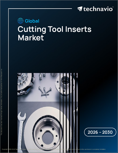 表紙：世界の切削工具インサート市場2026-2030年