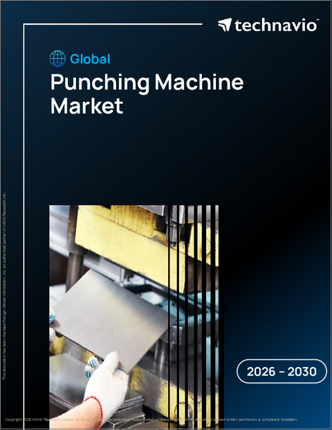 表紙:世界のパンチングマシン市場2026-2030年