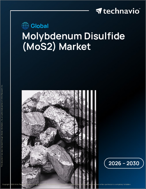 表紙:世界の二硫化モリブデン(MoS2)市場2026-2030年