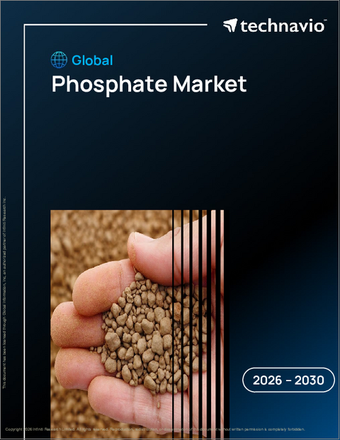表紙:世界のリン酸塩市場2026-2030年