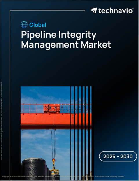表紙：パイプライン健全性管理の世界市場、2026年～2030年