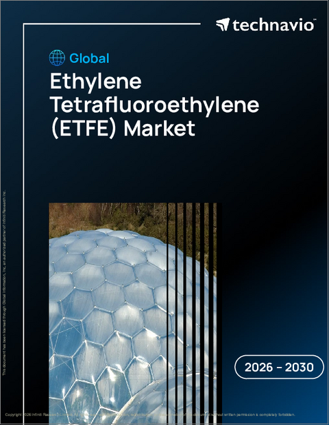 表紙：エチレンテトラフルオロエチレン（ETFE）の世界市場、2026年～2030年