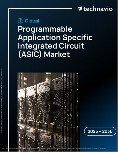 表紙:世界のプログラマブル特定用途向け集積回路(ASIC)市場2026-2030年