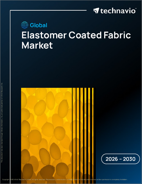 表紙：世界のエラストマーコーティング生地市場2026-2030年