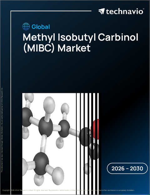 表紙:世界のメチルイソブチルカルビノール(MIBC)市場2026-2030年