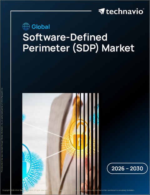 表紙：世界のソフトウェア定義境界（SDP）市場2026-2030年