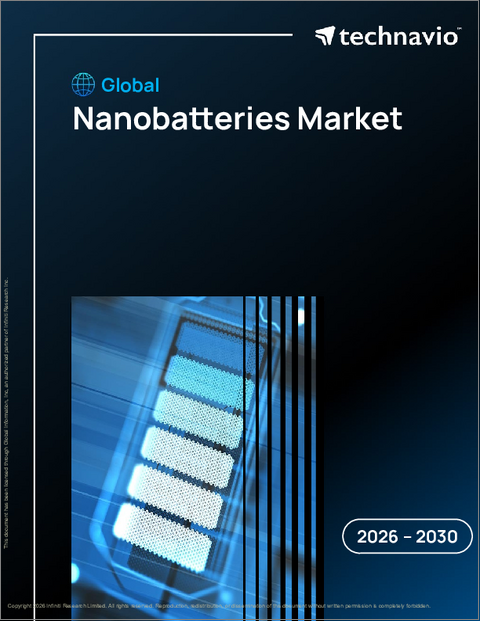 表紙：世界のナノバッテリー市場2026-2030年