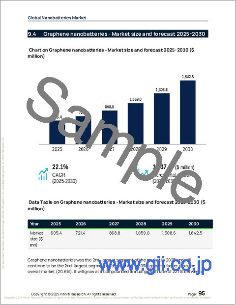 サンプル2：世界のナノバッテリー市場2026-2030年