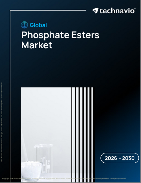 表紙:世界のリン酸エステル市場2026-2030年