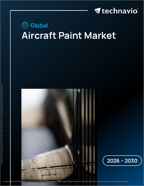 表紙：航空機用塗料の世界市場、2026年～2030年