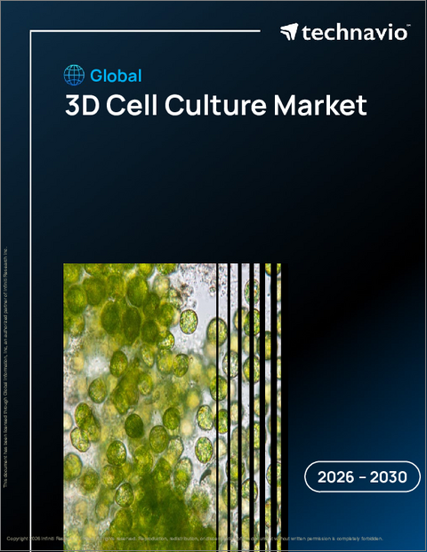 表紙：世界の3D細胞培養市場2026-2030年