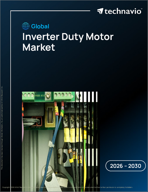 表紙：世界のインバータ対応モーター市場2026-2030年