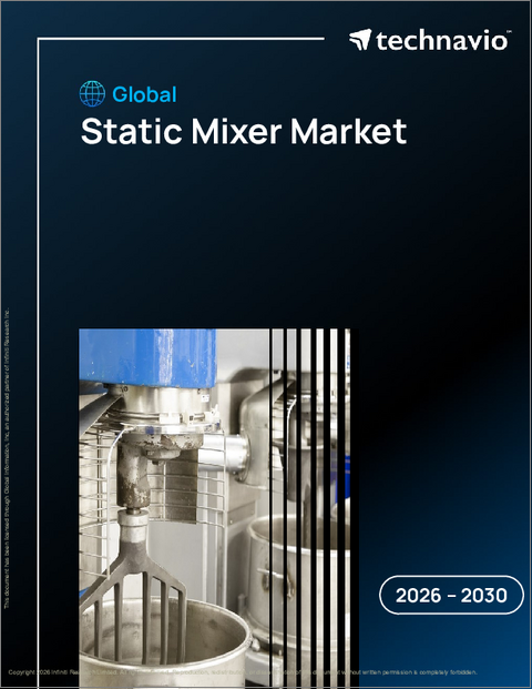 表紙：世界のスタティックミキサー市場2026-2030年