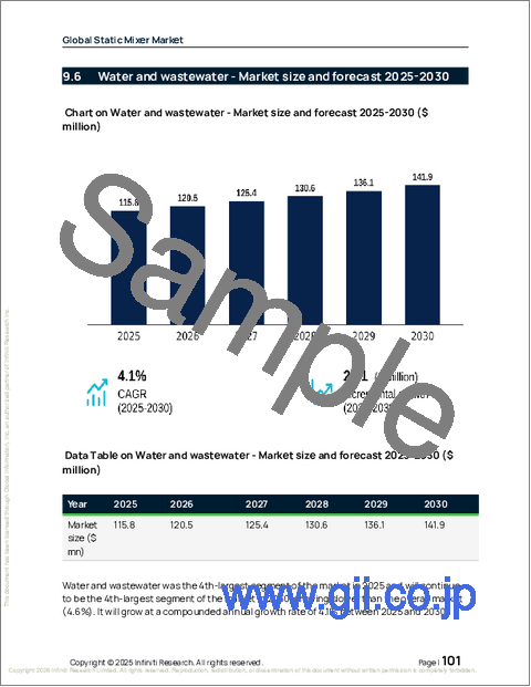 サンプル2：世界のスタティックミキサー市場2026-2030年