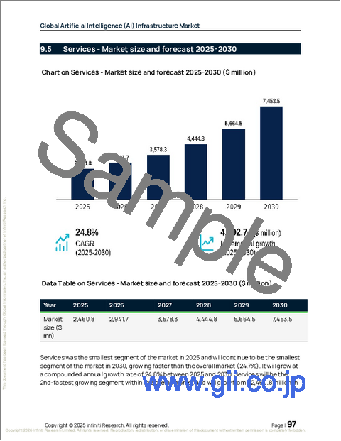 サンプル2:世界の人工知能(AI)インフラ市場2026-2030