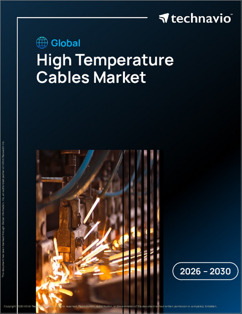 表紙：世界の耐熱ケーブル市場2026-2030年