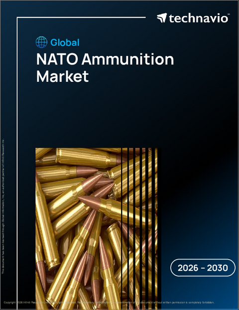 表紙：世界のNATO弾薬市場2026-2030年