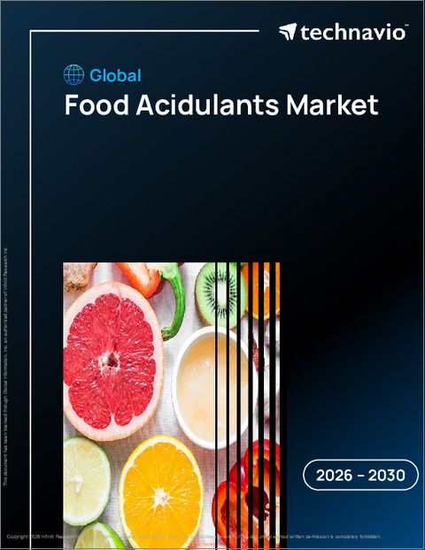 表紙：世界の食品用酸味料市場2026-2030年