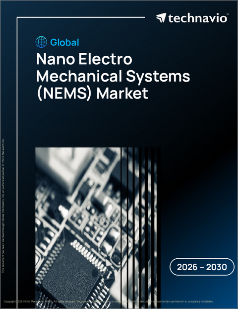 表紙：ナノ電気機械システム（NEMS）の世界市場、2026年～2030年