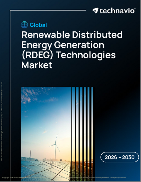 表紙：再生可能分散型エネルギー発電（RDEG）技術の世界市場、2026年～2030年