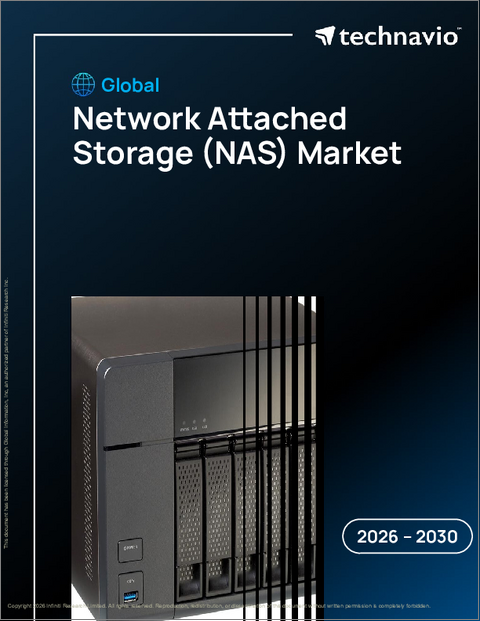 表紙：世界のネットワーク接続ストレージ（NAS）市場2026-2030年