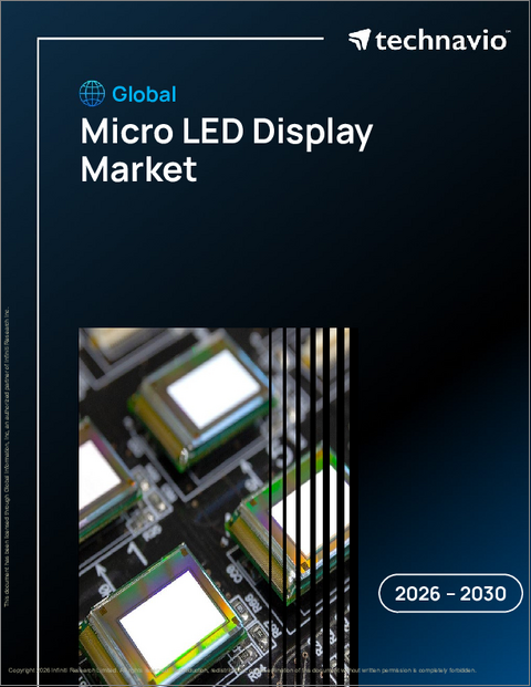 表紙：世界のマイクロLEDディスプレイ市場2026-2030年