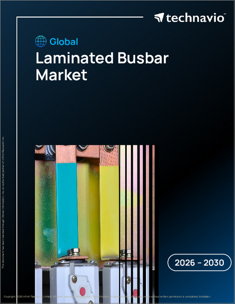 表紙：世界の積層母線市場2026-2030年