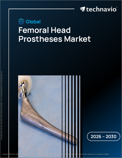 表紙：世界の大腿骨頭プロテーゼ市場2026-2030年