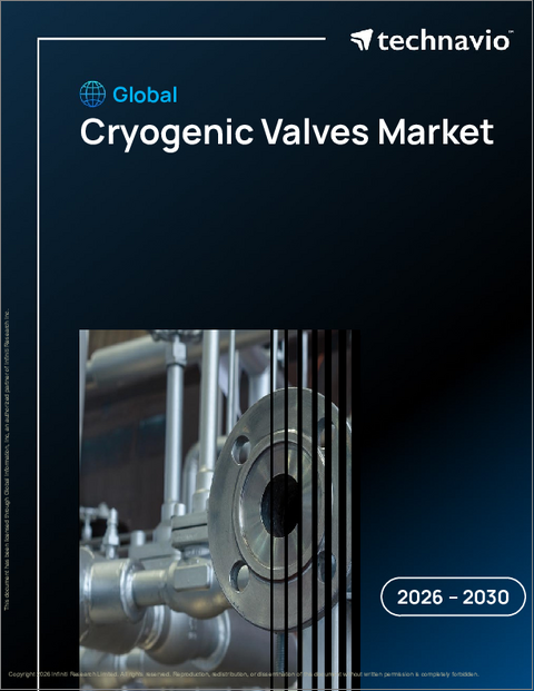 表紙：世界の極低温バルブ市場2026-2030年