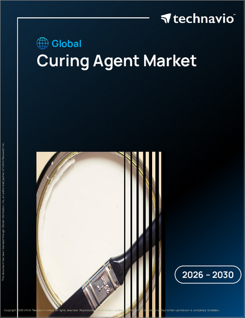 表紙:世界の硬化剤市場2026-2030年