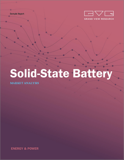 表紙：固体電池市場規模、シェア及び動向分析レポート：電池タイプ別、容量別、用途別、地域別、及びセグメント予測（2026年～2033年）