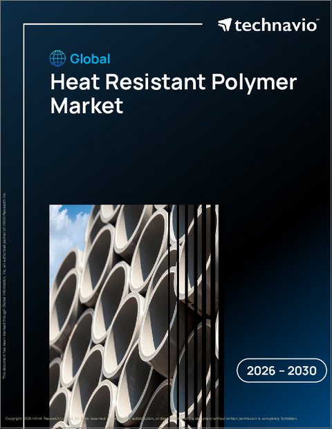表紙：世界の耐熱性ポリマー市場2026-2030年
