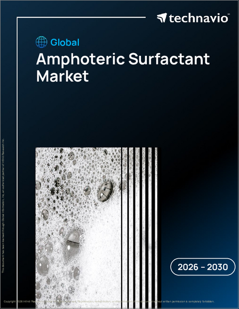 表紙：世界両性界面活性剤市場2026-2030年