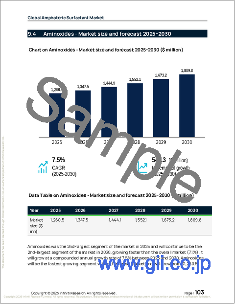 サンプル2：世界両性界面活性剤市場2026-2030年